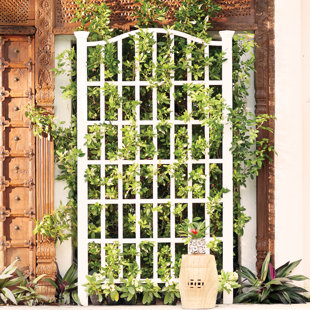 cedar asian design trellis railing Anal stimulation techniques